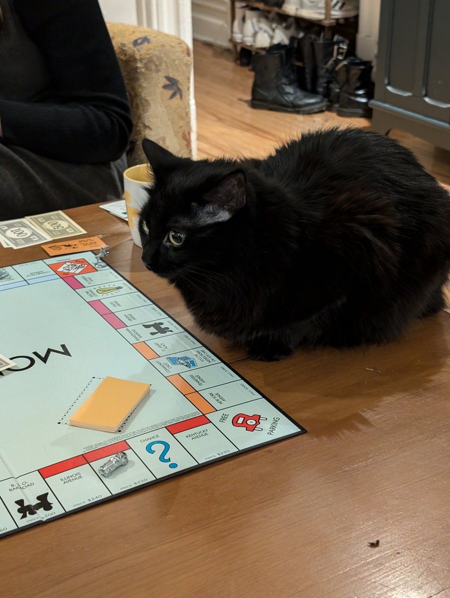 teaching my roommate's cat to be a landlord