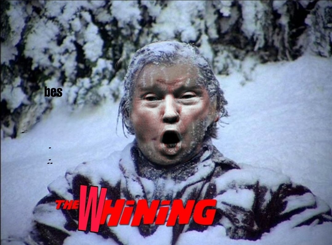 Brown Eyed Susan tweet media