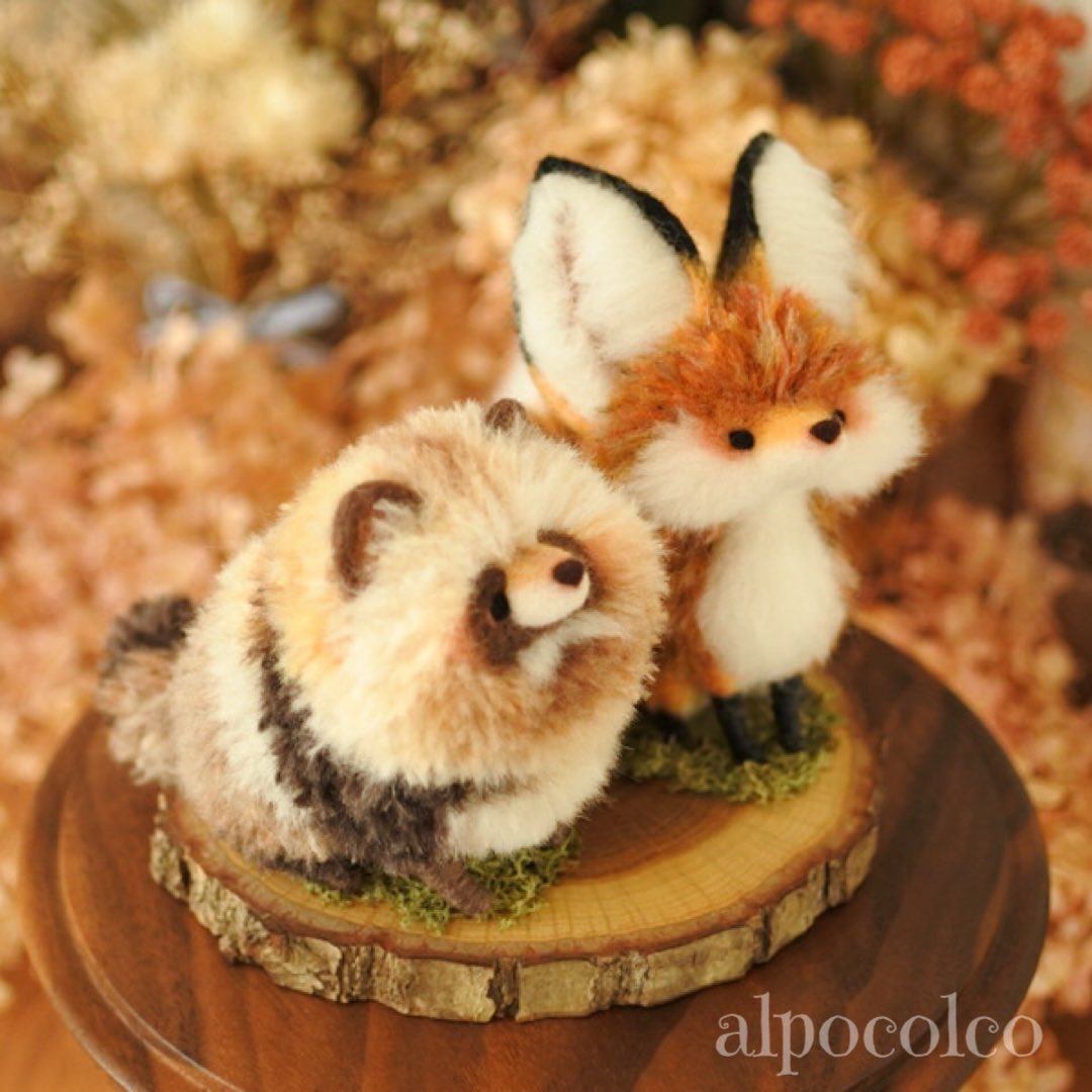 alpocolco(アルポコルコ) 🦊 (@alpoco_poco) on Twitter photo 