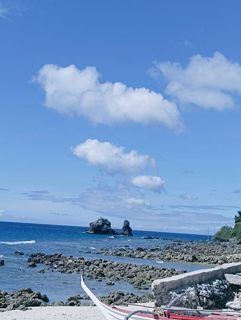 🏊🌊🏝️ vitamin sea