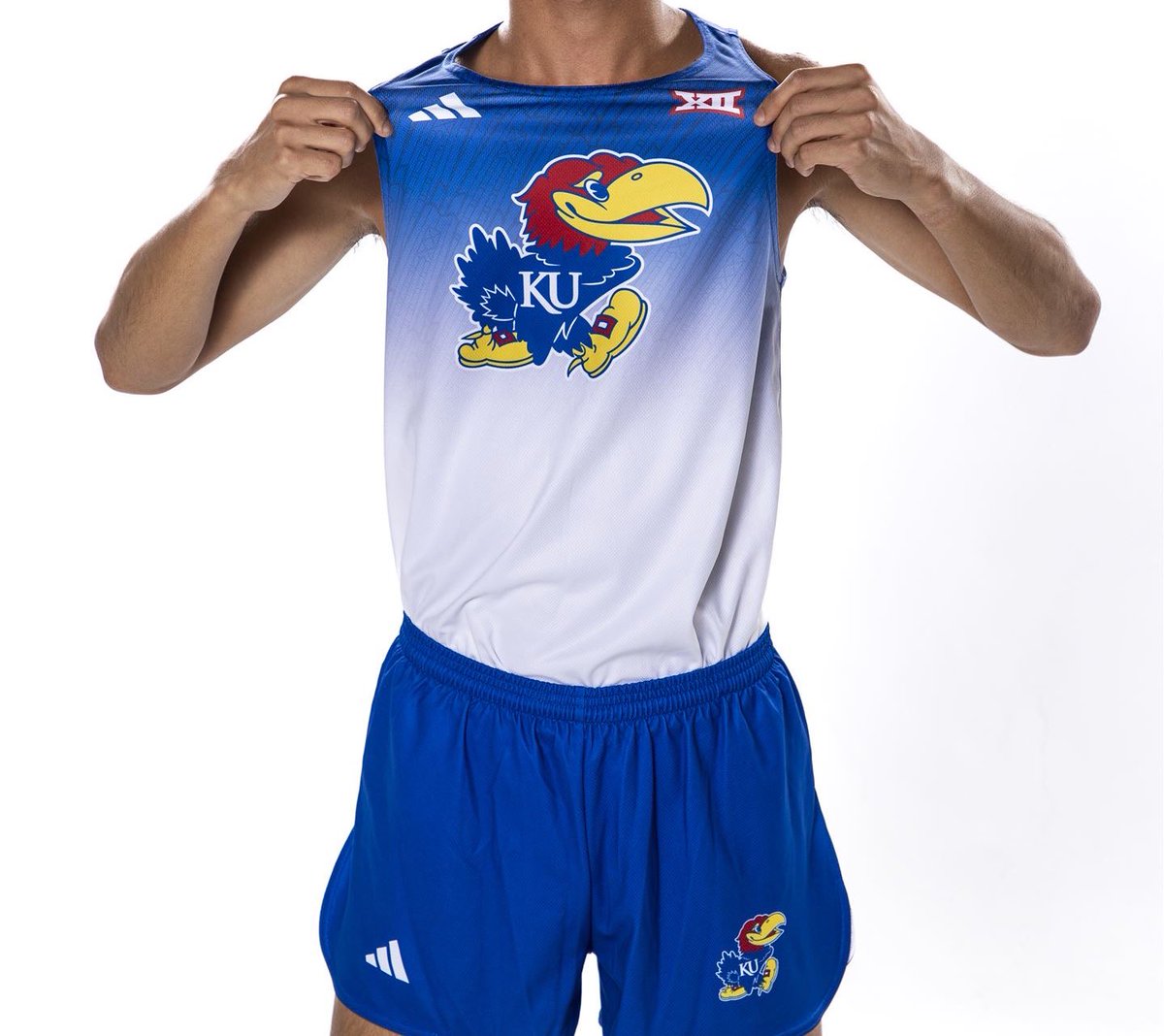 カンザス大はジェイホーク（Jayhawk）で結構かわいいです笑 各校