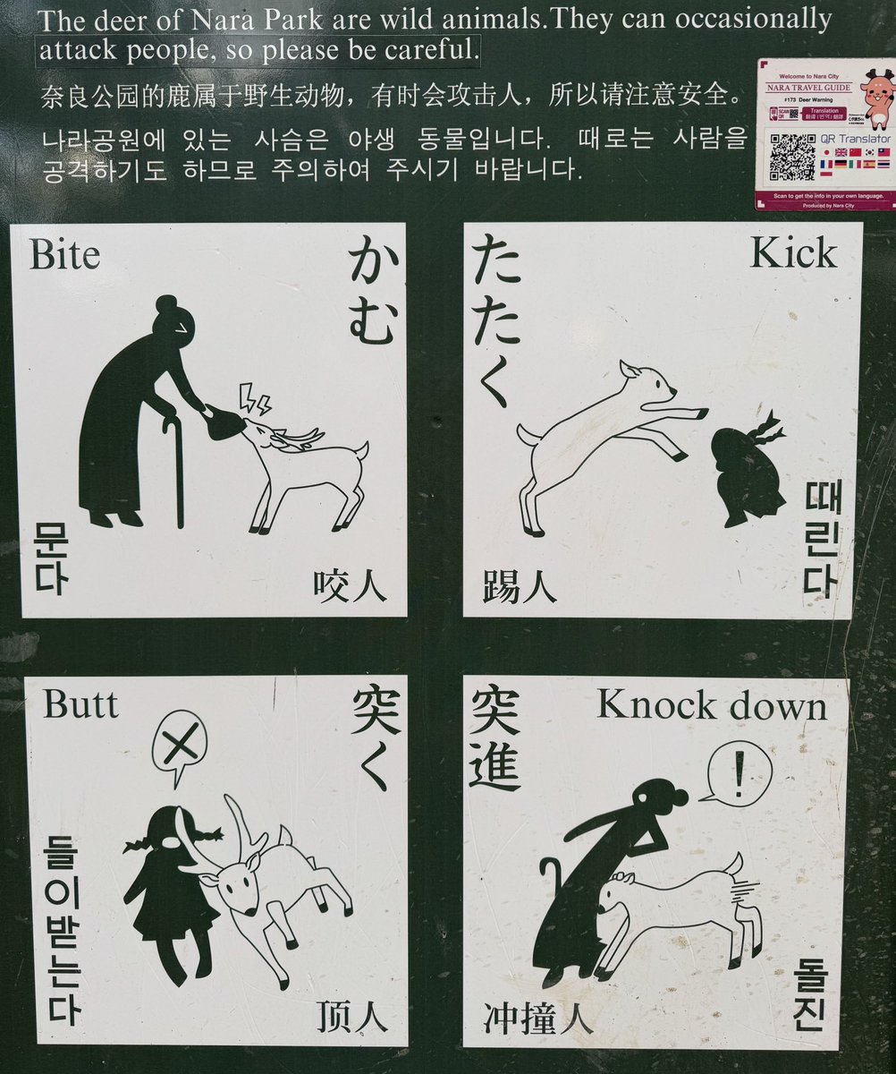 frescomachui's tweet photo. 🦌Naraが好き🦌

旅
言語
人力車
コミュニケーション

のおかげ〜！ https://t.co/tiUMfpUr3d