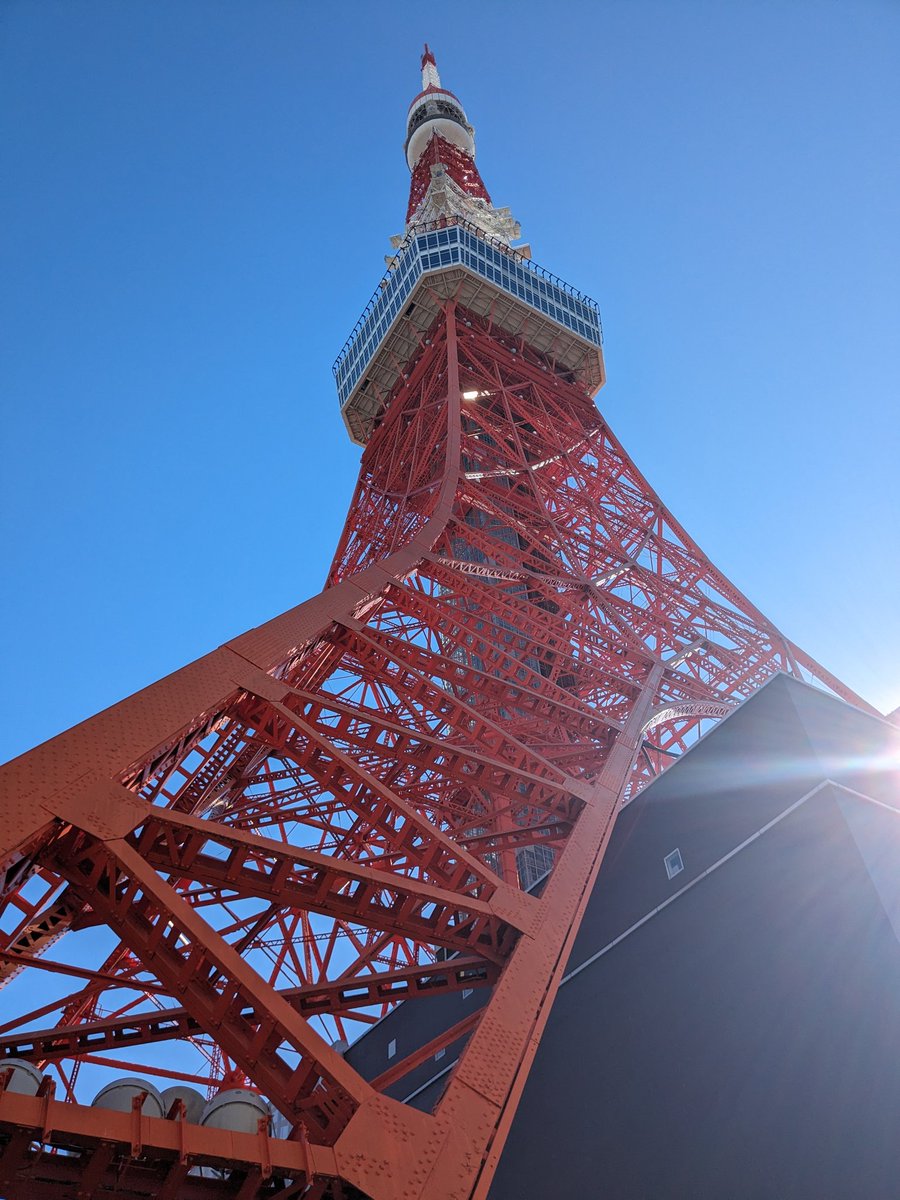近くで見ると高い👀
