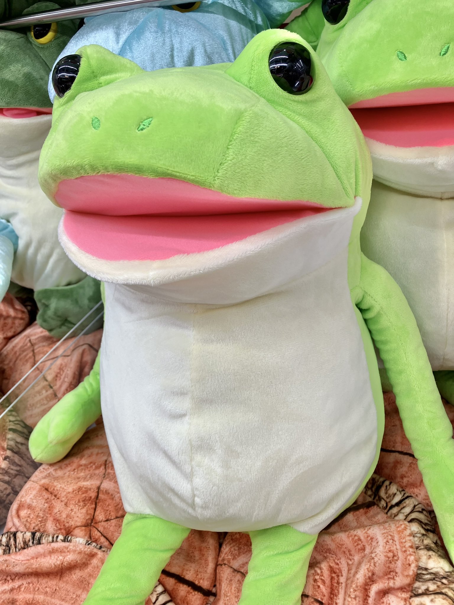 おとぼけケロピョン ミラクルライフ スーパーケロティー JB ≪1月の新商品≫おとぼけケロピョンミラクルライフ-NEW ITEM