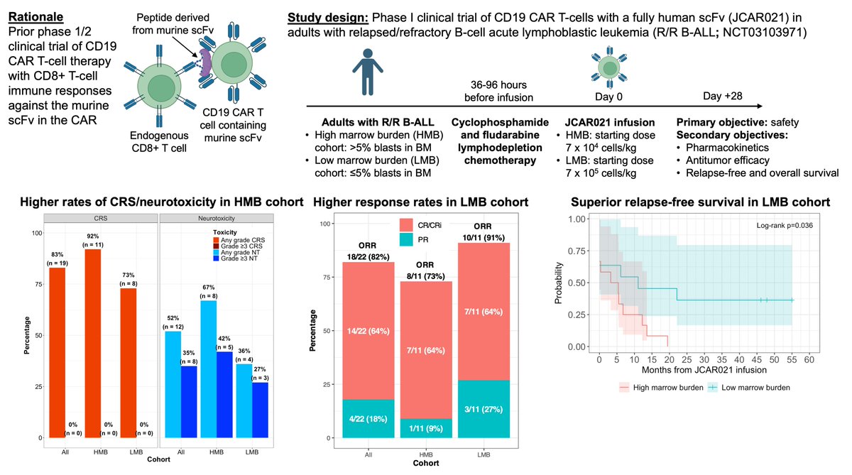 Jordan Gauthier (@drjgauthier) on Twitter photo Fresh off the press!
Very happy to share our new publication in <a href="/BloodAdvances/">Blood Advances</a>:
Phase I study of CD19 CAR T-cell therapy harboring a fully human scFv in CAR-naïve adult B-ALL patients
doi.org/10.1182/blooda…
**SPOILER**: it's a bit of a "negative" study, but please read on 😄
I Fresh off the press!
Very happy to share our new publication in <a href="/BloodAdvances/">Blood Advances</a>:
Phase I study of CD19 CAR T-cell therapy harboring a fully human scFv in CAR-naïve adult B-ALL patients
doi.org/10.1182/blooda…
**SPOILER**: it's a bit of a "negative" study, but please read on 😄
I