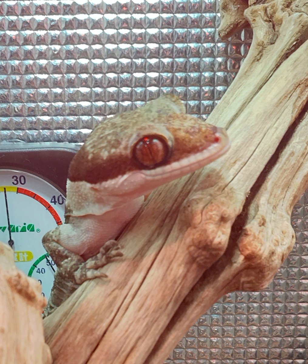 おはようさんです❗️😊🖐️
昨夜、今年初の金縛りになった仙台のアキラです😅
疲れてんのかな～❓️🤔
何か変なのが居るのかな～❓️🤔
どうでもいいや❗️😙
今日も仕事だ無事故で暴走だぜ❗️🚚😁