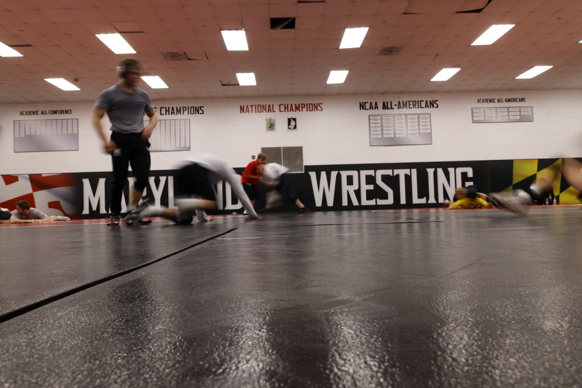 TerpsWrestling's tweet photo. Almost that time 

#TurtlePower🐢💪 x #TFIN https://t.co/CkV0U63xh7
