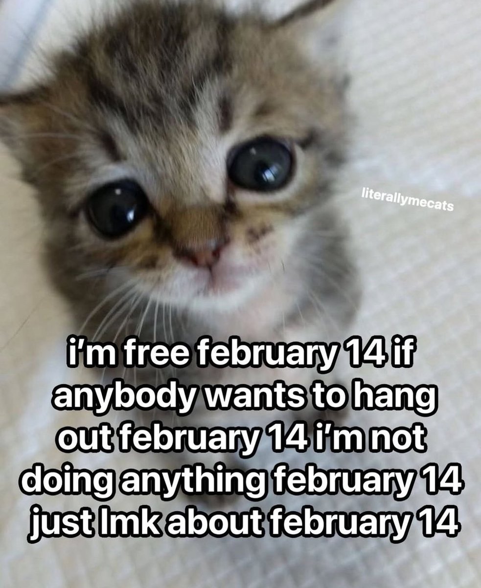 literallymecats's tweet photo. https://t.co/ntYKVi9xqP