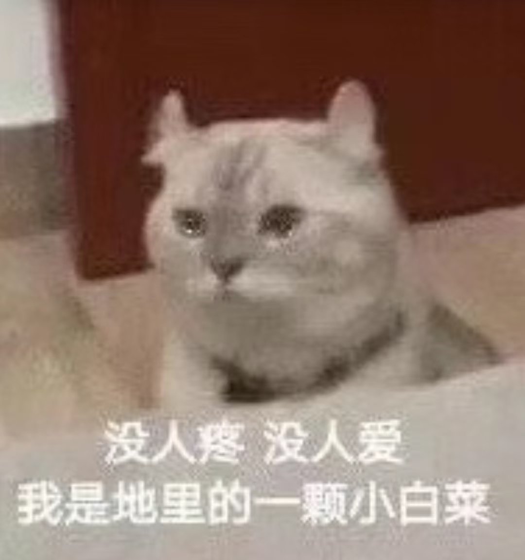 终于要回西安了，感觉明天可以吃很多