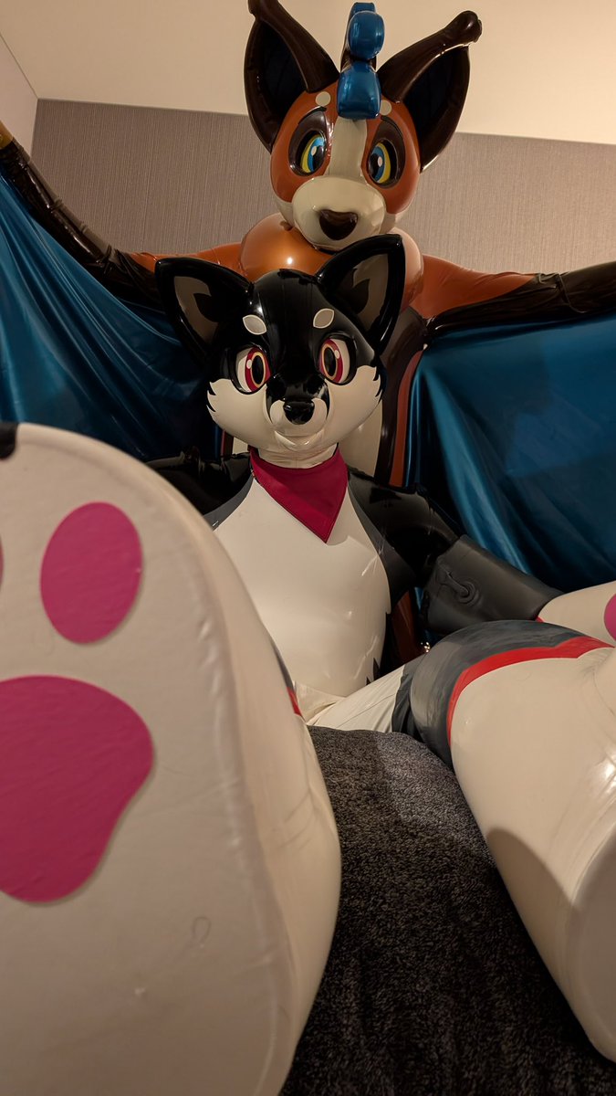 Zale__Husky's tweet image. A bat found me. I’ll be running around the con space in the evenings sat/sun 

@furcon 

More rubber shenanigans to come on my AD linked in bio 

@FycusBat 
@karinKariwanz 
@RubberPaws 
@kinkengineering