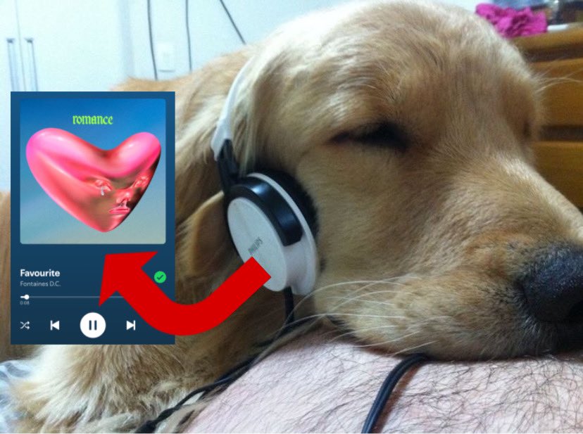 bree 🪼✧ (@fontainesyaoi) on Twitter photo 