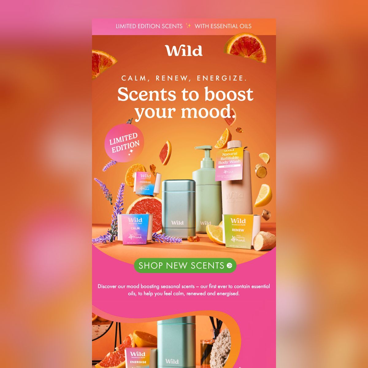 emaillove's tweet image. 🌟 Wild&apos;s newest campaign blends vibrant imagery with purposeful design! The turquoise header grabs attention, while product photos with essential oils create intrigue. Partnering with Mind charity adds depth. #MoodBoosting #DesignForACause