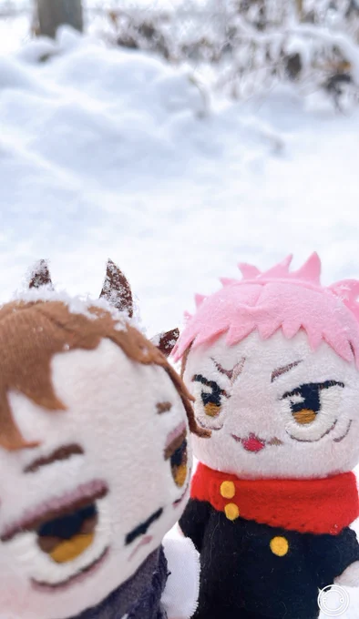 「おわーーー」「ゆうじ!?」「「おわ〜〜〜〜」」「雪被りすぎだろ 笑」 