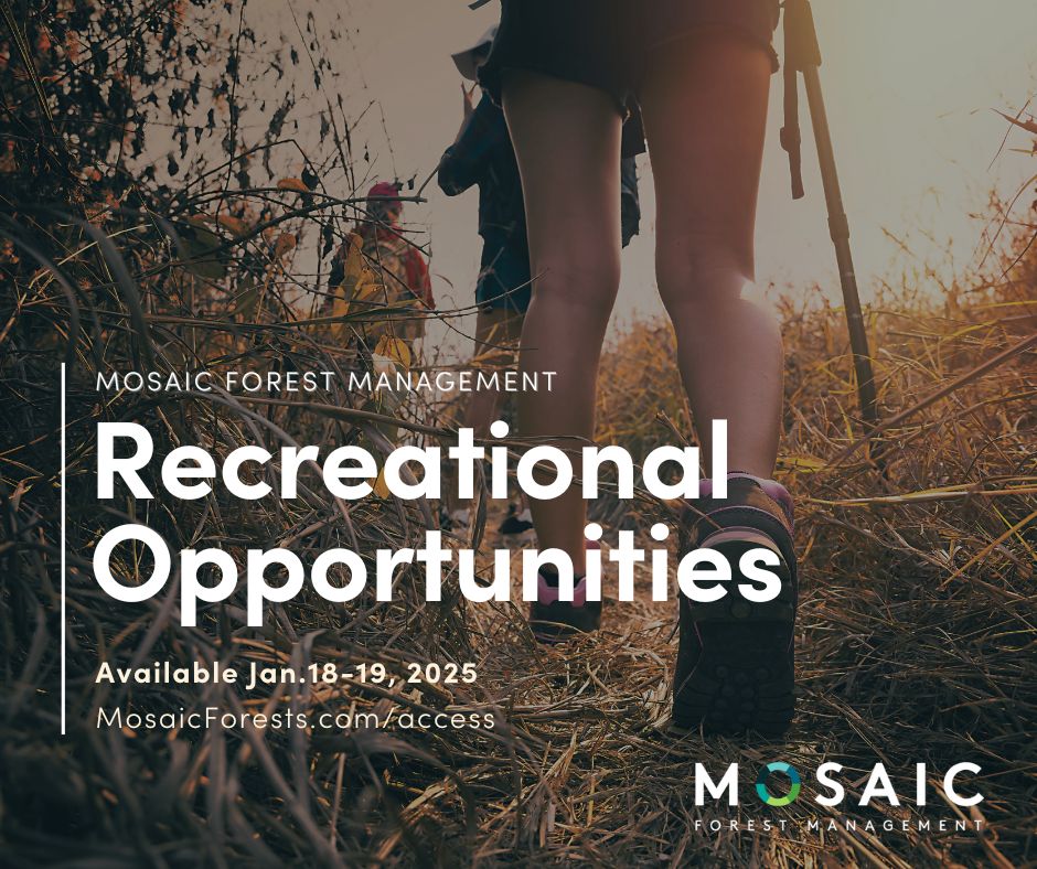 mosaicforests's tweet image. Recreational opportunities are available in designated areas on Mosaic's forest lands January 18-19, 2025. Please check gate status before heading out. Visit MosaicForests.com/access. #VancouverIsland