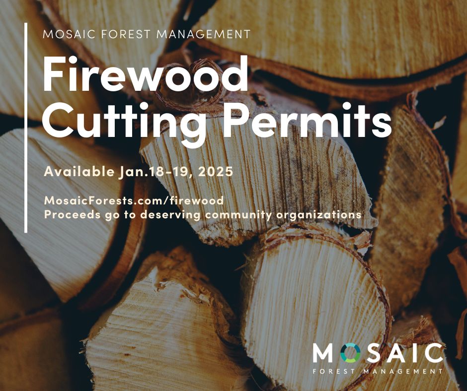 mosaicforests's tweet image. Firewood cutting permits are available for designated locations on Mosaic's forest lands Jan.18-19, 2025. Visit MosaicForests.com/firewood #firewood #VancouverIsland