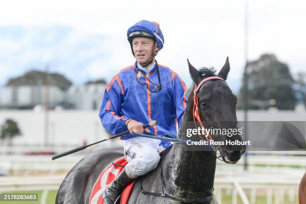 Big day for the team with 3 runners at Murray Bridge 

R2: Flying Mikki  
R3: Excelaot   
R4: Vegas Knight 

All horses have travelled to Adelaide very well 

Flying Mikki is our best winning chance 
The other 2 are each way chances

Good luck to their connections!
🔵🟠🔵🟠🔵🟠🔵