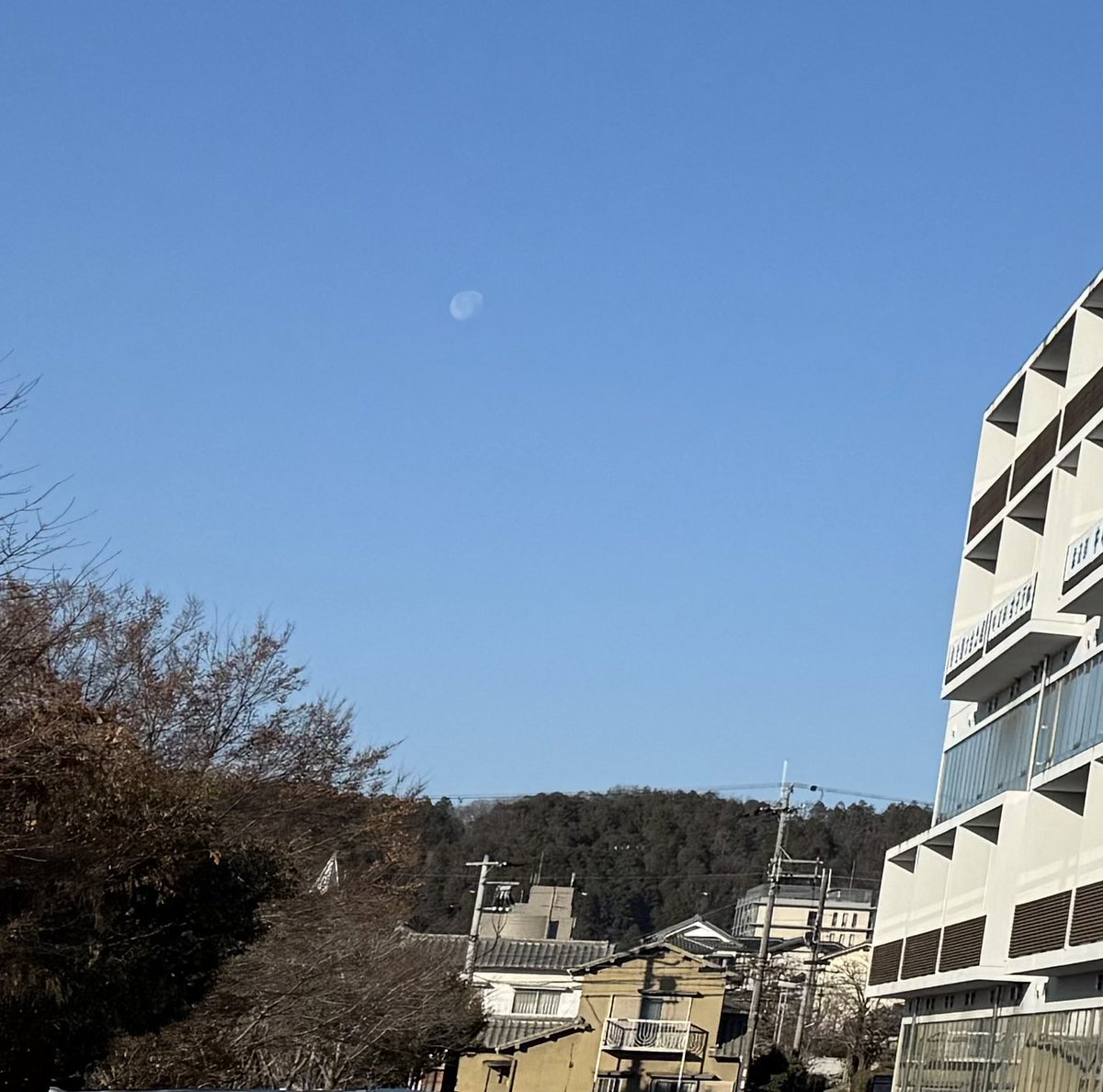 今日関西は中学入試解禁日。
また、共通一次の初日。
快晴な青空の下で受験生ファイト！