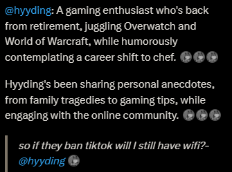 hyyding's tweet photo. my grok profile summary https://t.co/JaTt6393m7
