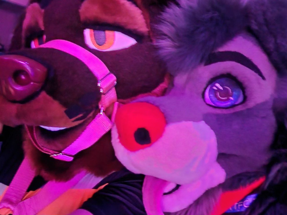Two good boys for your #FursuitFriday 

🩶 🪡 <a href="/FursuitParade/">Fursuit Parade</a>
🤎 🐕 <a href="/furscribbles/">✨️ Octave 🍫 Lab ✨</a>
