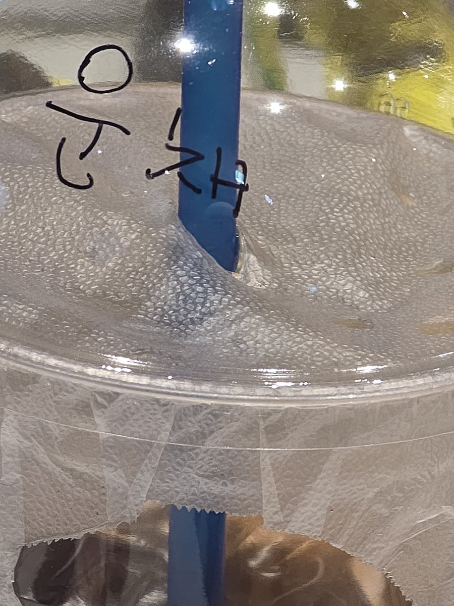 hey good morning, fearnot! jgn lupa ngopi iya! 🌷