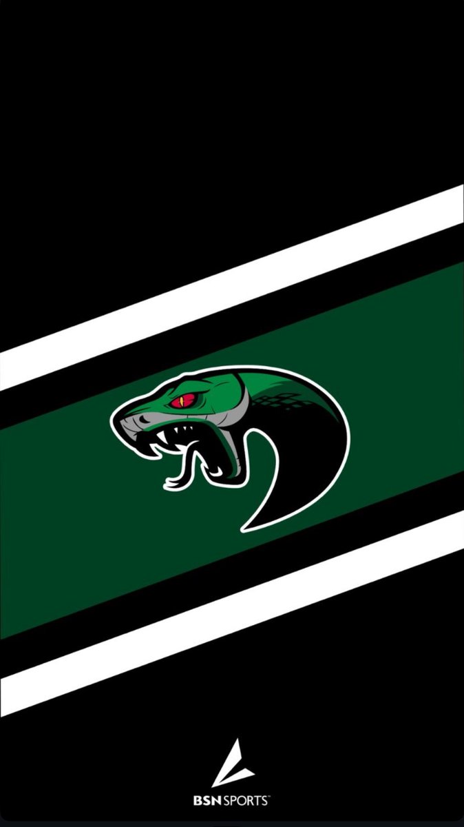 It’s a Great Day to be a Viper….Always 🐍