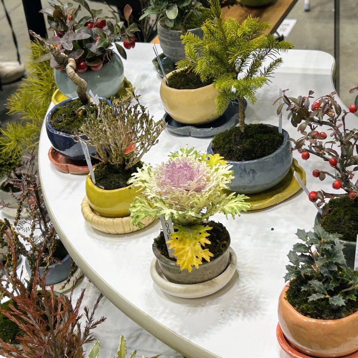 HandMade In Japan Fes' 冬(2025) tweet media