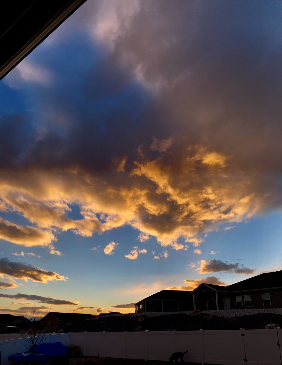 HyggeMan's tweet image. Dog At Sunset...
.
.
.
.
.
#PicOfTheDay #DogAtSunset #UtahSunset #Sunset #NorthernUtah #BecTheDog