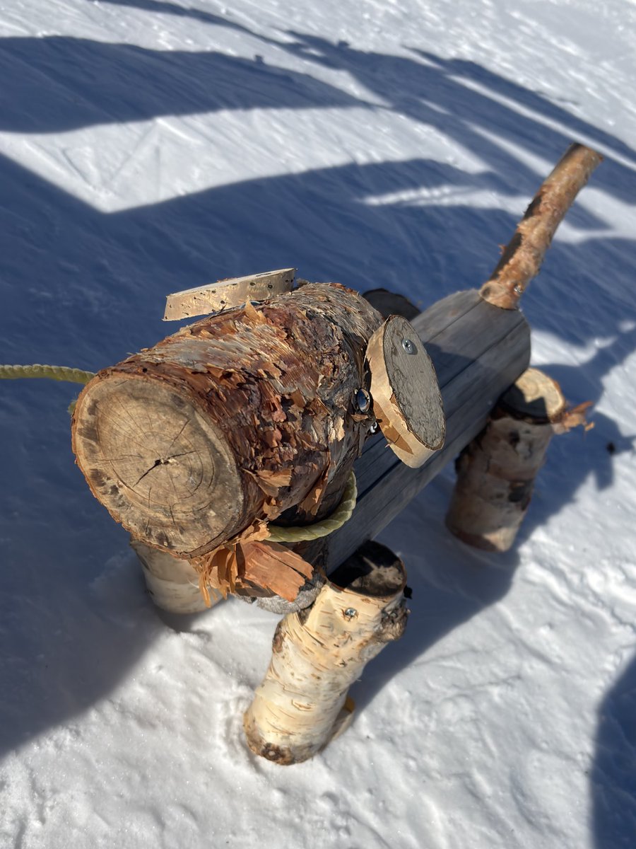 TasuLogic's tweet image. マオカイのペット