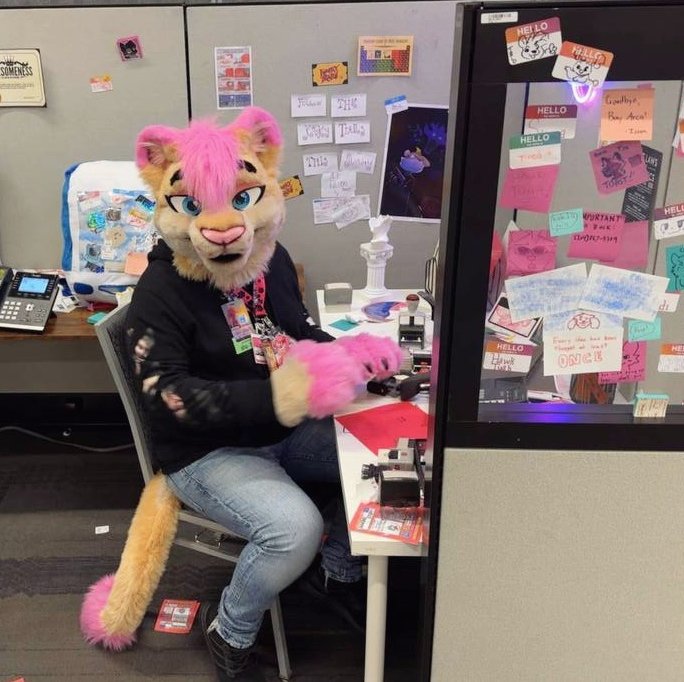 Taking care of official cat business at #FurCon2025 #FursuitFriday