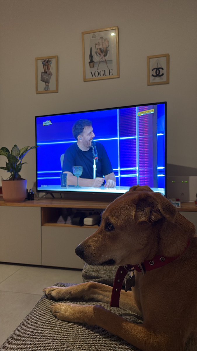 tamara_ay's tweet photo. Mirando luzu 💓#luzutv #luzu https://t.co/ZLCCO8351B