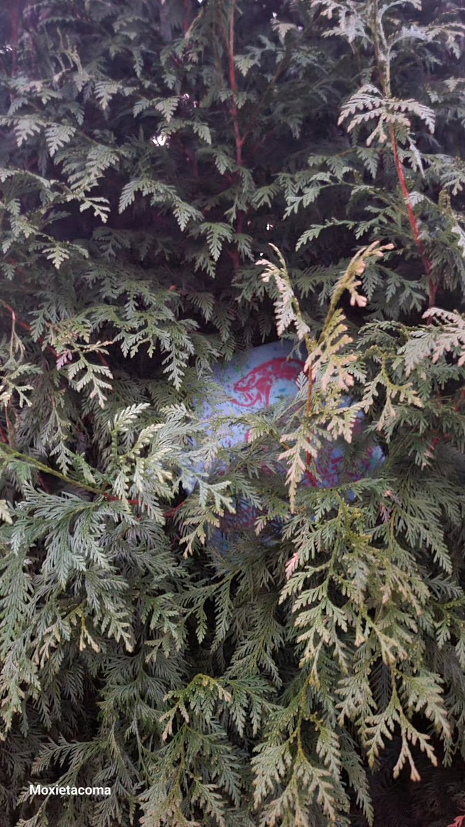 RandomUnicorn95 tweet media