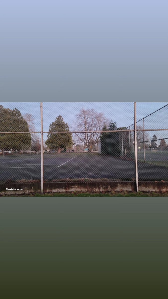 RandomUnicorn95 tweet media