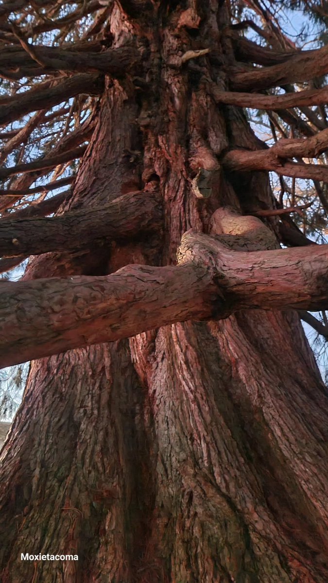 RandomUnicorn95 tweet media