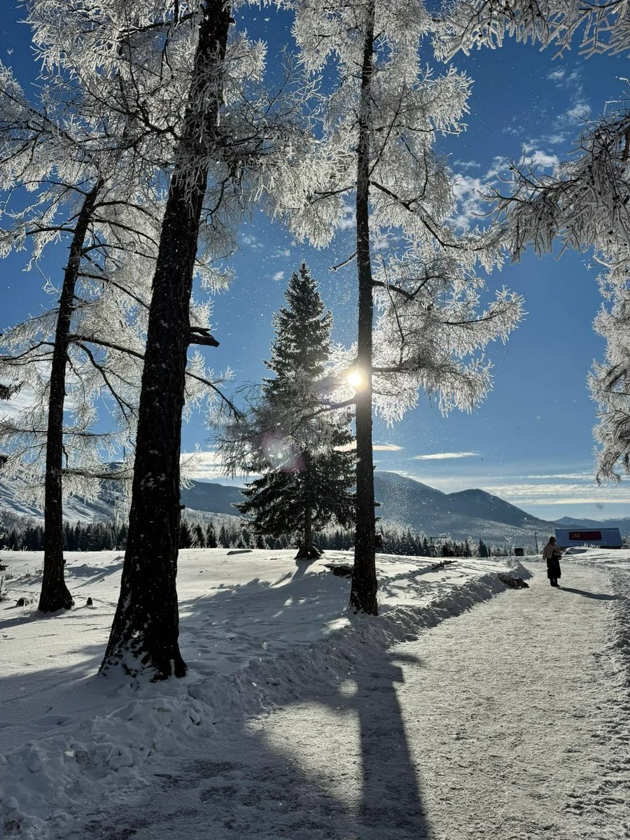 TTO35408943's tweet image. So beautiful, Kanas! The rime in Kanas is absolutely stunning. I'll definitely come back next time. #Kanas #Rime #Beauty #Nature #Travel #Landscape #Stunning #VisitAgain