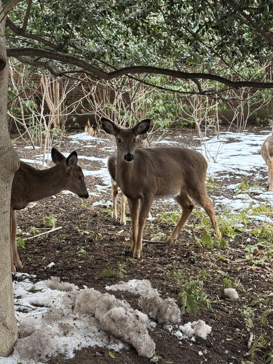 Toby Gordon tweet media
