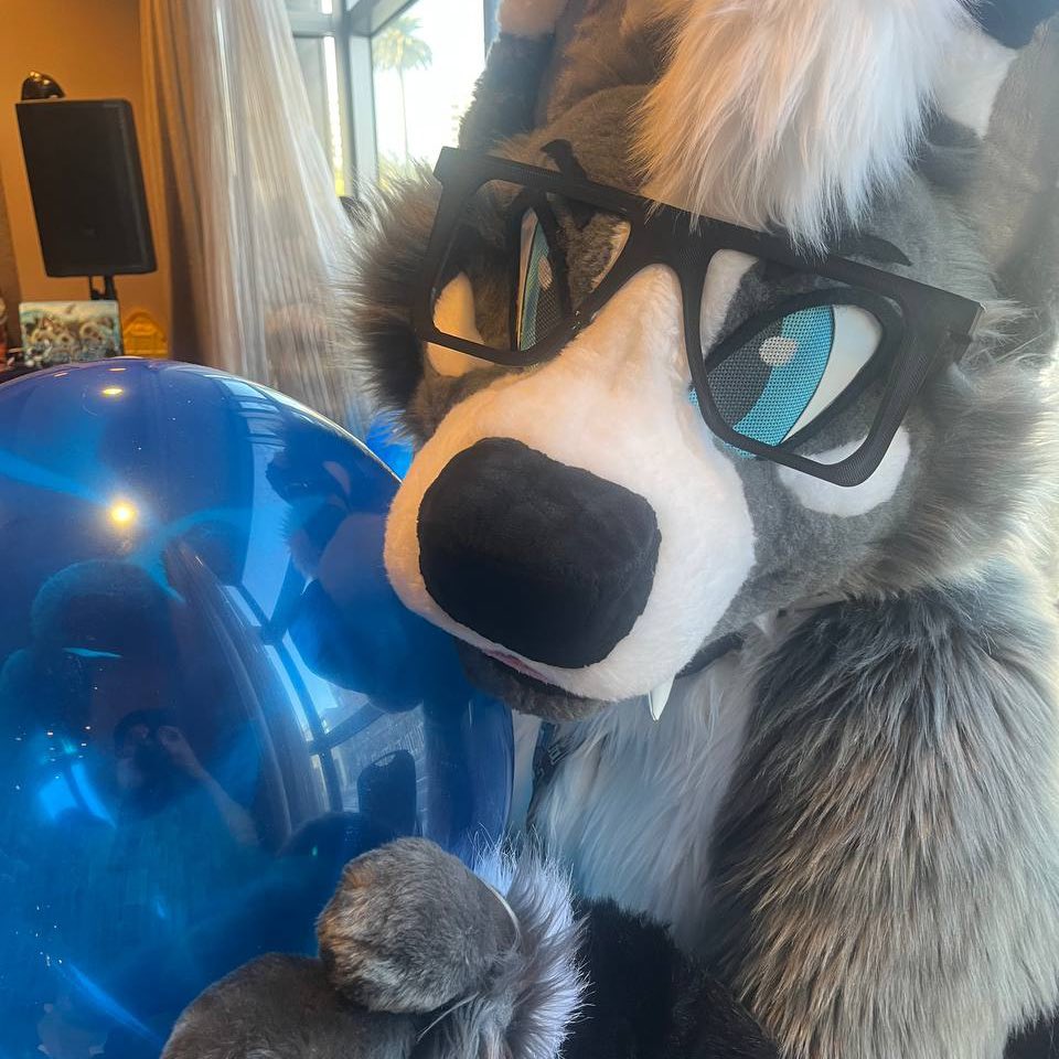 Snarl_Core's tweet photo. For this #FursuitFriday, I’m hanging out at FC! I had a great full suiting session today 🖤
(Thank you to my bestie for handling for me today!!)

Second picture featuring @TorchyDog! https://t.co/rygHGDCTfq