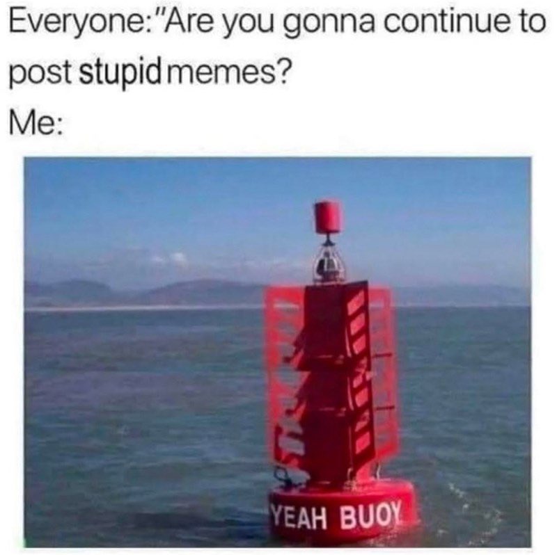 _Muffin_Man21's tweet image. U need to join $DANK memes

That’s what u need