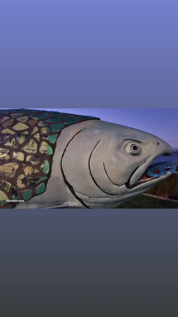 RandomUnicorn95 tweet media