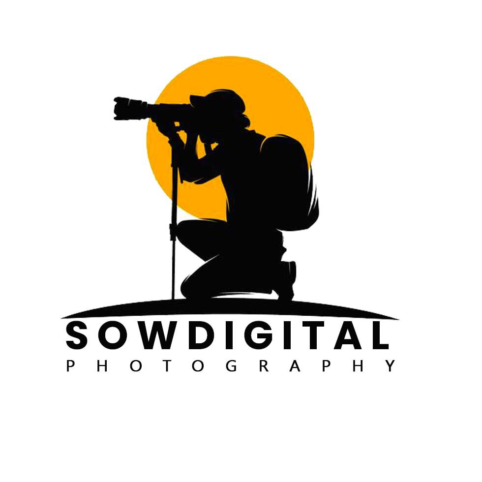 ＳＯＷＤＩＧＩＴ▲Ｌ tweet media