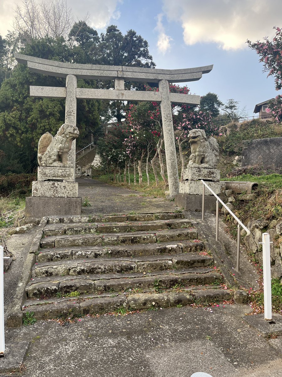 kazukiTC's tweet photo. 大晦日に花が咲いてました！（何故？）
私が住んでいる地域の神社のところです
隠岐の不思議な植生なのか、普通なのか分かりませんが。

こういった植物たちに目を向けるようになったということ自体が、ジオパークで過ごした私の成長でもあるのかもしれないとふと思いました
#TOUCA #海士 #隠岐 https://t.co/wdSsRLMLXO