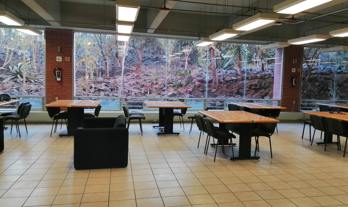 dr_aguarras's tweet image. Sala de consulta de la Biblioteca del Instituto de Biología de la UNAM.
Una más de las muchas y hermosas bibliotecas de la Ciudad de México