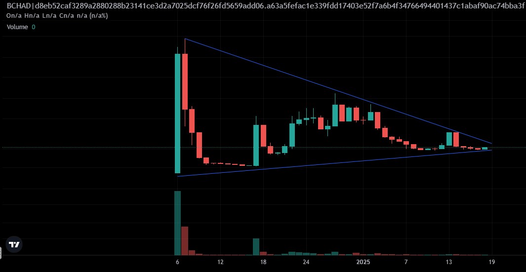 CosmicLoyal55's tweet photo. Something's brewing with $Bchad.... @BchadCTO https://t.co/5CFkHskTqZ