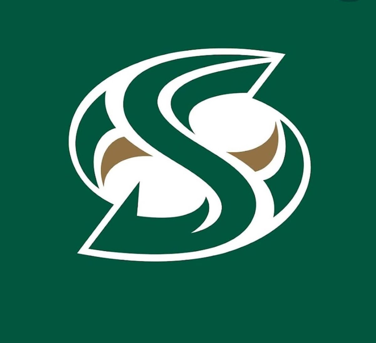 Jerod Terry Jr 3⭐️ 2026 (@iamjerodterry) on Twitter photo After a great conversation with Coach <a href="/BrennanMarion4/">Coach Marion</a> and Coach <a href="/coachapatterson/">AC Patterson</a>. I am honored to receive an offer from Sacramento State. <a href="/CoachKMerch/">Ken Merchant</a> <a href="/CoachMarshawn/">Marshawn Friloux 🏁</a> <a href="/GMSacStateFB/">Zachary Potter 🐝</a> <a href="/SierraCanyonFB/">Sierra Canyon FBall</a> <a href="/bruce_bible/">Bruce Bible</a> <a href="/aldo_bruce/">Aldo Bruce Rocha</a> <a href="/GregBiggins/">Greg Biggins</a> <a href="/BrandonHuffman/">Brandon Huffman</a> <a href="/ChadSimmons_/">ChadSimmons</a> #GoGoSacramento After a great conversation with Coach <a href="/BrennanMarion4/">Coach Marion</a> and Coach <a href="/coachapatterson/">AC Patterson</a>. I am honored to receive an offer from Sacramento State. <a href="/CoachKMerch/">Ken Merchant</a> <a href="/CoachMarshawn/">Marshawn Friloux 🏁</a> <a href="/GMSacStateFB/">Zachary Potter 🐝</a> <a href="/SierraCanyonFB/">Sierra Canyon FBall</a> <a href="/bruce_bible/">Bruce Bible</a> <a href="/aldo_bruce/">Aldo Bruce Rocha</a> <a href="/GregBiggins/">Greg Biggins</a> <a href="/BrandonHuffman/">Brandon Huffman</a> <a href="/ChadSimmons_/">ChadSimmons</a> #GoGoSacramento