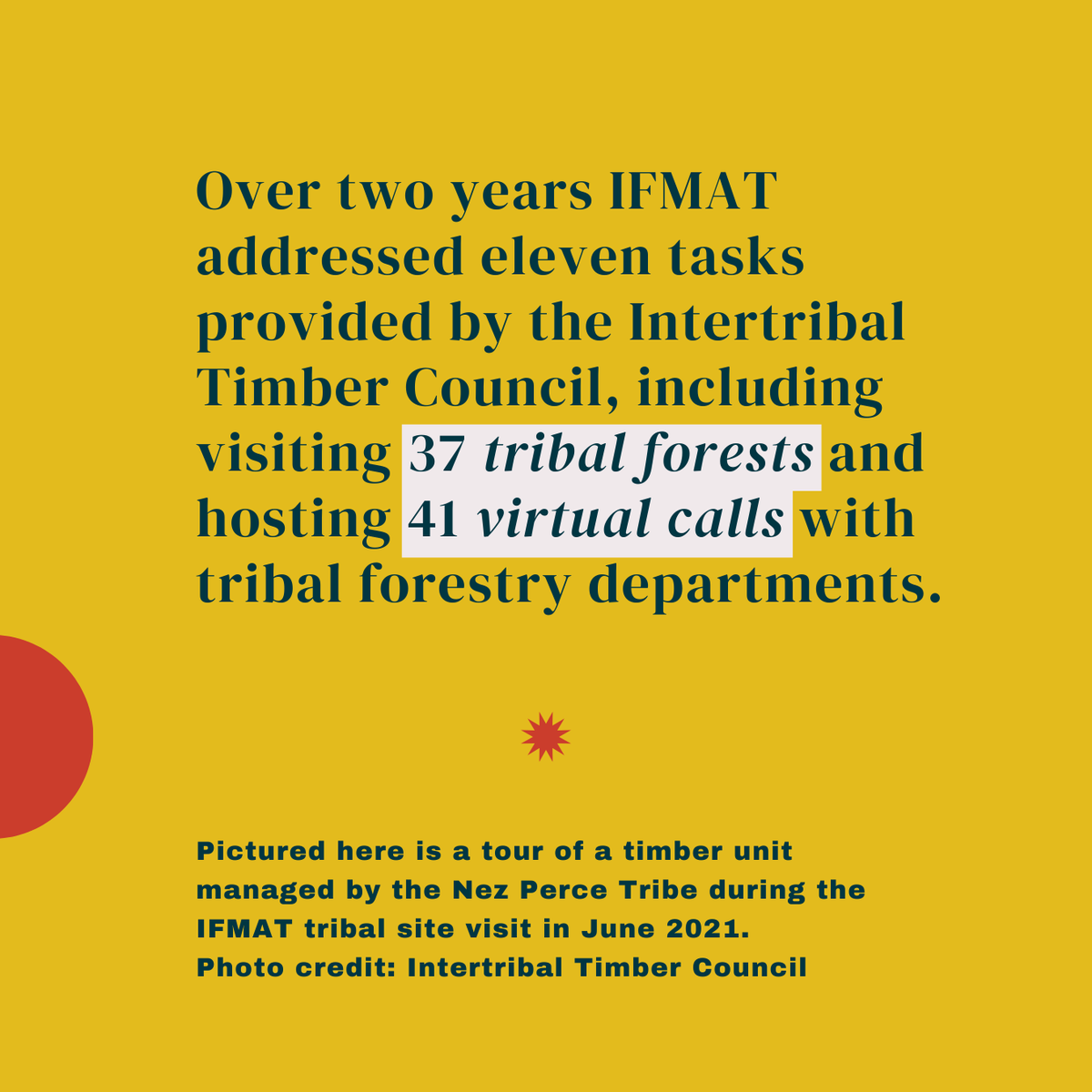 Intertribal_TC's tweet image. The Indian Forest Management Assessment Team toured 37 tribal forests, including meeting with the Nez Perce Tribe in June 2021. Read the full IFMAT IV report: online.flippingbook.com/view/719646412…
 #IFMATIV #IndianCountry