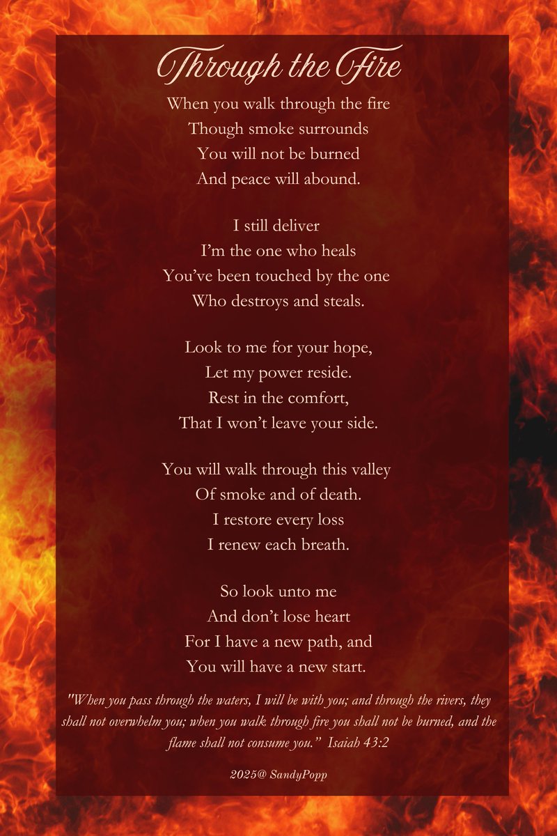 sandypopp tweet media