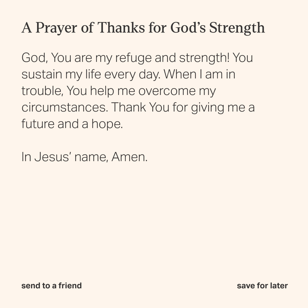 YouVersion Bible App tweet media