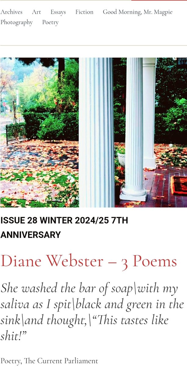 Poet Diane Webster is a perfect example of the hardworking artists featured in #thievingmagpie self-taught, self-motivated, self-assured. Check out her poems via our links. #literarymischief #fiction #poetry #art #photography #essays #books #literarymagazines #writers