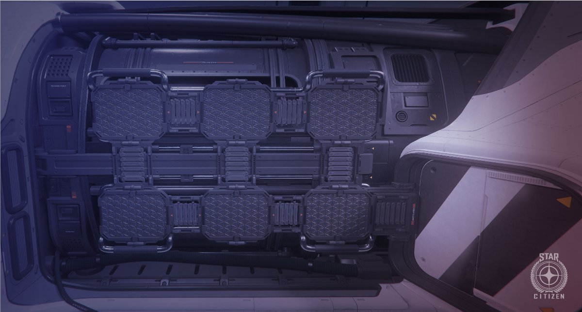 r/StarCitizen tweet media