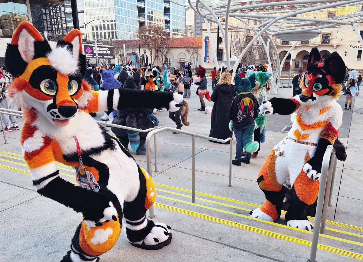 Fox Pupy 🦊🧡 (@skyfops) on Twitter photo Hanging out with my German sibling 🧡🔥
☄️:<a href="/comet_coyote/">Comet 🔜 MP</a>
🪡: <a href="/ThePhoenixNest_/">🔥🪶Phoenix Nest🪶🔥</a>
📸: <a href="/SkylineYote/">Skyline</a>
#furry #furryfandom #FC25 #fursuiter #FursuitFriday Hanging out with my German sibling 🧡🔥
☄️:<a href="/comet_coyote/">Comet 🔜 MP</a>
🪡: <a href="/ThePhoenixNest_/">🔥🪶Phoenix Nest🪶🔥</a>
📸: <a href="/SkylineYote/">Skyline</a>
#furry #furryfandom #FC25 #fursuiter #FursuitFriday
