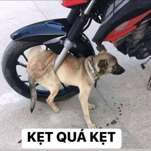 If we pay salaries like this, where will we have money to spend on Tet 🥹 ?